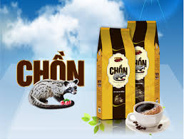 Any of various catlike mammals of the family viverridae of. Vietnam Kaffee Vietnam Premium Civet Katze Kaffee Grosshandel Buy Vietnam Kaffee Vietnam Instant Kaffee G7 Kaffee Product On Alibaba Com