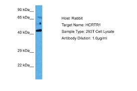 Dylight® is a registered trade mark of thermofisher inc., and its. Orexin A Peptide Elisakit Net