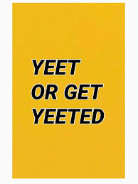 Yeet Or Get Yeeted Essential T Shirt By Mesposito42 In 2020 Aesthetic Words Aesthetic Painting Aesthetic Usernames
