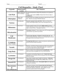 Eukaryotic Cell Structure And Function Chart Google Search