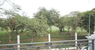 Prilly menceritakan tidak pernah pergi berlibur ke luar negeri, dia hanya pergi ke luar negeri untuk urusan pekerjaan. Bak Istana 10 Potret Rumah Mewah Prilly Latuconsina Dailysia