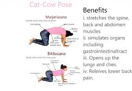 Pin By Mrityunjay Yoga On Yoga Steps Yoga Steps Cow Pose Cat Cow Pose