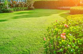 We look forward to earning your business and. Cutting Edge 1 Rated Lawn Care In Fort Smith