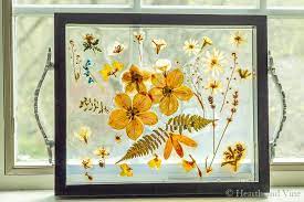 As i mentioned, the glass squares were purchased at hobby lobby. Pressed Flower Resin Tray Makes A Beautiful And Unique Gift Hearth And Vine
