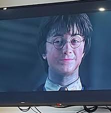 Harry : Promise me something. Dobby : Anything, sir. Harry : Never try to  save my life again.