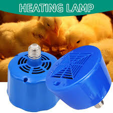 It has 5 levels of light brightness and allows activation of anion function. Blue Pet Incubator Incubator Chicken Temperature Adjustable Controller Heater Walmart Canada