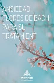 Temores y miedos en general, pueden ser tratados. Pin En Medicina Alternativa