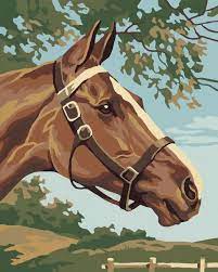 Pin By Sakuraml On Print Wall Horse Illustration Horse Painting Brown Horse