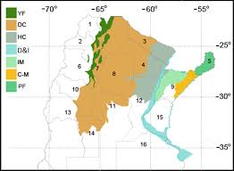 Image result for Rhytachne subgibbosa