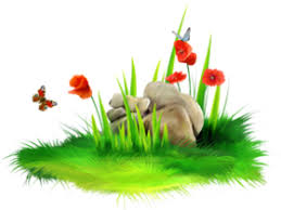 Sea Grass Png Image With Transparent Background Png Free Png Images In 2020 Grass Clipart Sea Grass Grass