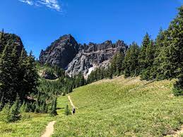 We did not find results for: Hiking The Canyon Creek Meadows Loop In The Mount Jefferson Wilderness Socal Hiker