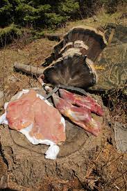 This is a slow process and is best done with the wings, tail, head and neck removed. Clean That Bird Quickly