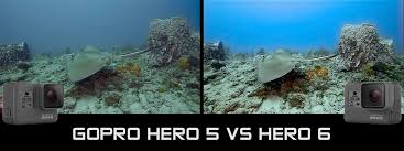 gopro hero 6 vs hero 5 underwater camera review