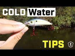 How To Fish The Donkey Rig The Most Fun Setup In Bass Fishing Bass Fishing Tips Bass Fishing Fishing Trip