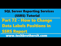 Ssrs Tutorial 72 How To Change Data Labels Positions In Ssrs Report