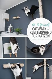 Catwalk Kletterwand Fur Katzen Diy Katzen Kletterwand Kletterwand Katzen