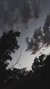 Video cinematic alam,aesthetic hutan for relaxing,content etc.silahkan di download,dan jngan lupa di cek juga playlist channel ini untuk video lainnya.thank. Celeste Fotografi Alam Latar Belakang Pemandangan