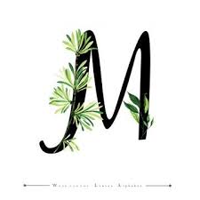 Black And White Letters Png Letter M With Watercolor Leaves Background Watercolor Color Floral Png And Vector With Transparent Background For Free Download Watercolor Leaves Leaf Background Fancy Letters