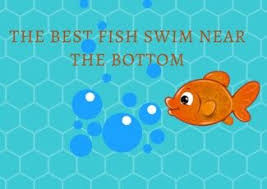 Essay On The Best Fish Swim Near The Bottom Fish Swimming Essay Swimming