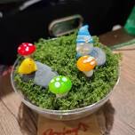 DIY Mini Gnome Garden