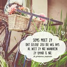 Pin By Milaine Nortje On Amen Picnic Basket Picnic Outdoor