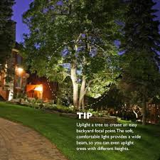 Create Interesting Focal Points And Shadows With Natural Elements Outdoors Your Backyard Is A Outdoor Flood Lights Led Outdoor Flood Lights Landscape Lighting