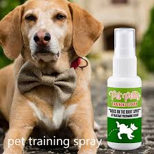 Kathy has been passionate about animal training ever since she quit a good job to move halfway around the world to train dolphins at the kewalo basin marine mammal laboratory at the university of hawaii. 30ml Cat And Dog Positioning Defecation Inducer Pet Toilet Training Spray Cat And Dog Training Auxiliary Spray Pet Supplies Dog Accessories Aliexpress