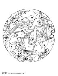 Happy Spring Coloring Sheet Short Leg Studio Bird Coloring Pages Mandala Coloring Pages Spring Coloring Sheets
