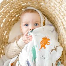 Muslin swaddling blanket - Dinosaur | Dolly Lana – Dolly Lana