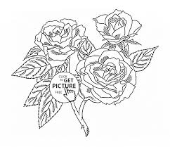 Realistic Roses Coloring Page For Kids Flower Coloring Pages Printables Free Wuppsy C Flower Coloring Pages Rose Coloring Pages Coloring Pages For Grown Ups