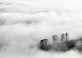 Secretarul de stat dr andrei baciu vine la interviurile dc news și dc medical, de la ora 13.00, pentru a discuta despre. Winterly Haiku By Andrei Baciu Dodho