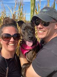 We are just FOUR WEEKS AWAY from our RACC Muttminster/Meowminster Dog & Cat  show! Have you signed your pet up yet to win Best in Show? 🏆The categories  are hilarious, the venue,