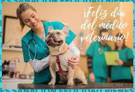 Maybe you would like to learn more about one of these? Milano Real C A Hoy En Venezuela Celebramos El Diadelveterinario En 1946 Durante El I Congreso Grancolombiano De Medicos Veterinarios En El Liceo Andres Bello Caracas Venezuela Se Acuerda Celebrar