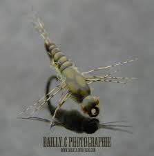 Le Blog De Bailfly Over Blog Com Materiel De Peche Mouches Peche Mouche