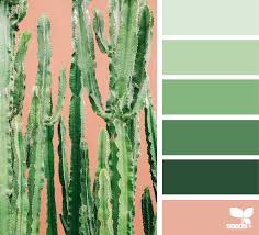 Finally completed my cactus canyon city. Cacti Color Design Seeds