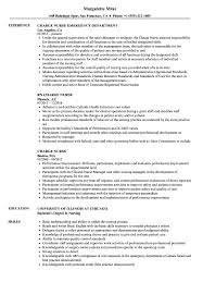 Think critically, excellent assessment skills. Charge Nurse Resume Samples Velvet Jobs