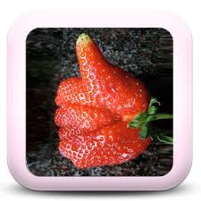 Les Fruits Et Legumes Moches Du Potager Je Cuisine Mon Potager Fruits Et Legumes Fruits Legumes