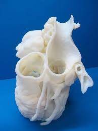 Http Www 3digiprints Com 3d Print Industry Php 3d Printing 3d Printing Art Printing Help