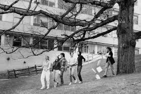 It is accurate up to the 4th decimal place (the obtained value is 4.669 268 625 720 540, which is for app. Mitchell Feigenbaum Physicist Dies At 74 He Made Sense Of Chaos The New York Times