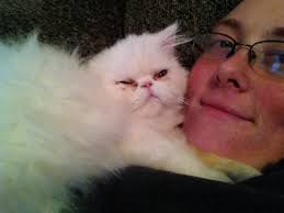 This is Marshmallow he likes to dress up and show off. 😊♥️😊