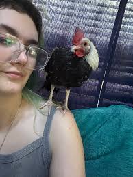 humorous dog owner moment in the morning