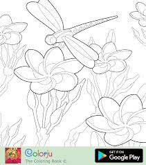 You can download, favorites, color online and print these hawaiian flower for free. Coloring Pages D Floral Coloring Pages
