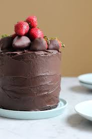 The Best Chocolate Cake Ever Hip Foodie Mom Best Chocolate Cake Cupcake Cakes Best Chocolate