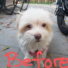 THE BEST 10 PET STORES in DARIEN, GA