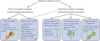 List six benefits of pesticide use. Https Onlinelibrary Wiley Com Doi Pdf 10 1111 Ele 13512
