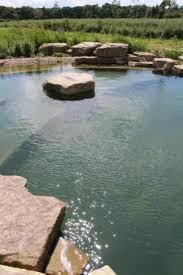 Natural Swimming Pools Ponds Garden Style Sheffield Landscaping Garden Design Maintenanc Natural Swimming Ponds Pool Landscaping Natural Swimming Pools