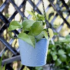 Our creative and fresh concept ensures that the final designed environment looks. Railing Grill Planters Buy Online At Flat 50 Off On Plantsguru Com