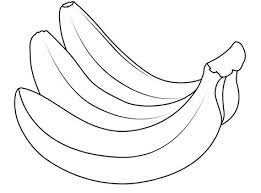 Sketsa gambar buah untuk diwarnai buah warna gambar. Gambar Buah Buahan Tempatan Untuk Diwarnai