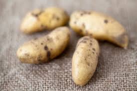 Image result for Solanum tuberosum