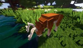 Can you tame a badger in minecraft? Better Animals Plus Mod Para Minecraft 1 16 3 1 16 4 Y 1 16 5 Minecrafteo